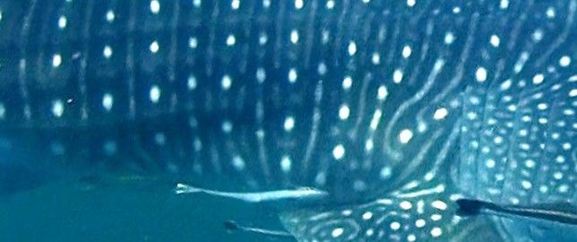 9d2b1b74-0f14-486a-967b-0eaa426b2cde