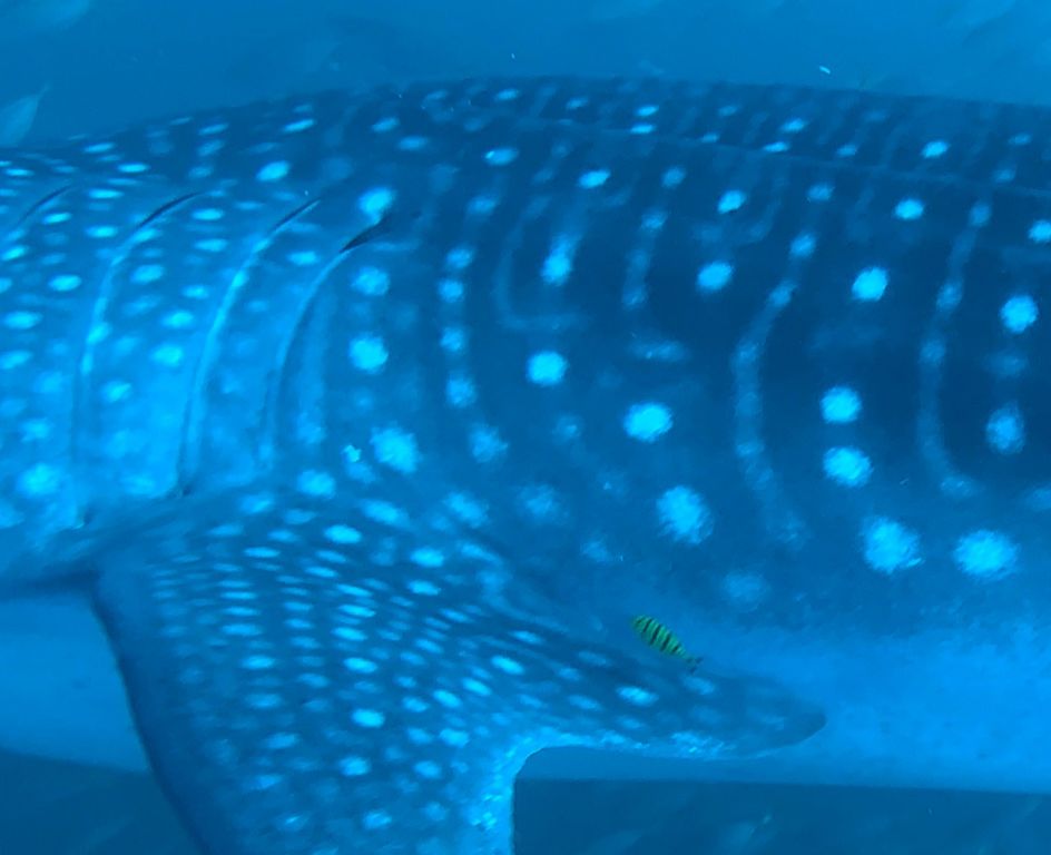 7f6dce45-0765-4205-8548-47fe39773e94