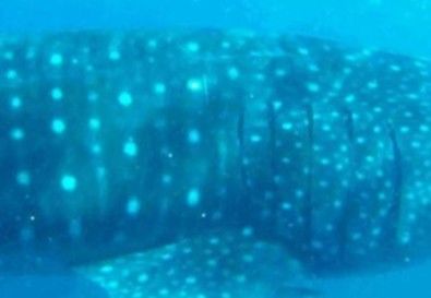 cd418d53-69b6-4d47-9d07-a7701d983a21