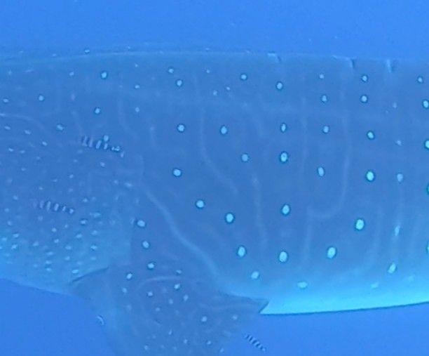 c8d30186-6509-407d-9720-78ac062736aa