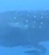 3b550c31-3152-4462-aaa8-76f44a35848d