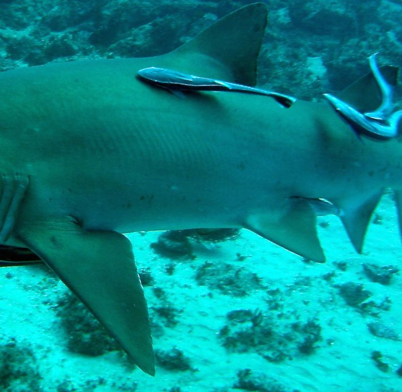 46698e22-dc69-4fed-be63-4a87d19402ce