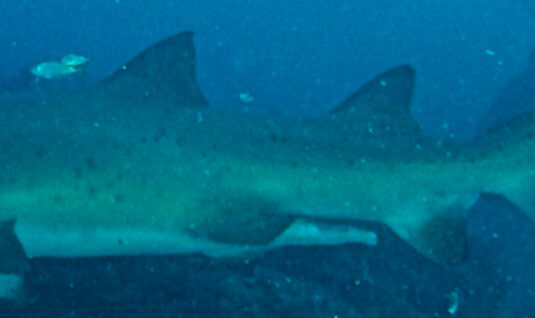 7f2c4166-d509-43ca-ae99-2026f4b1f794