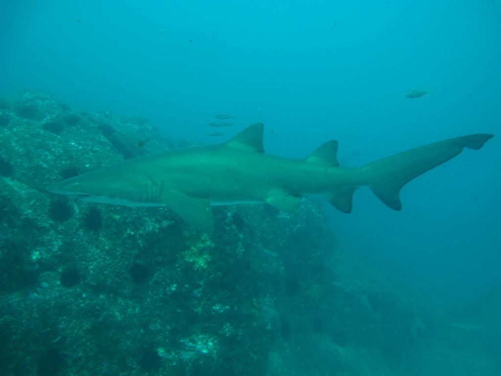 987f4e6f-e5dd-448b-a926-c893337509a4