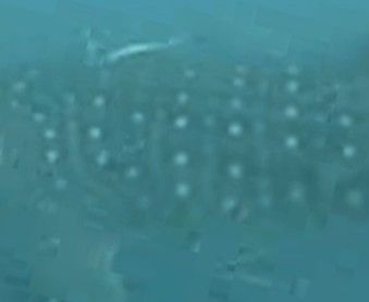 3fa4dc50-b0a2-4d47-a8e1-224f9cf53447