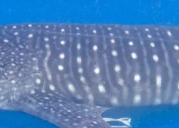 d97ac113-b3d3-4ca7-a440-1dd75df61c62