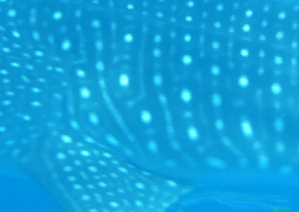 afe97bc0-b058-4968-8c77-f632a8b58ffa