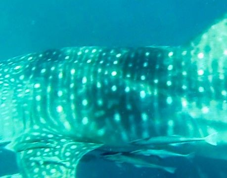 891526bd-b091-4544-a338-cd01477029fd