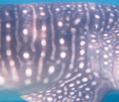 13ff30c6-dd05-4a43-bdbf-b7c4fdca360d