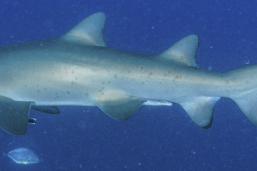 2f310075-9117-4652-ad4e-620313cdc8e5