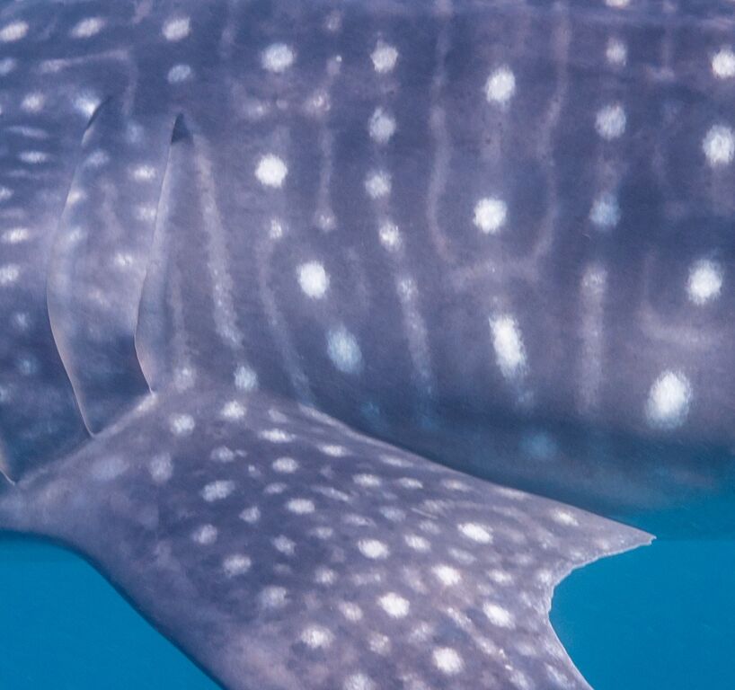 f2873b48-4c38-4ef2-99ca-be4b8ec3e464