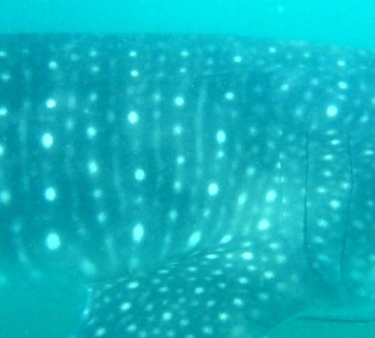 d76e0622-ca2e-4395-ac22-e4ed2baee3fb