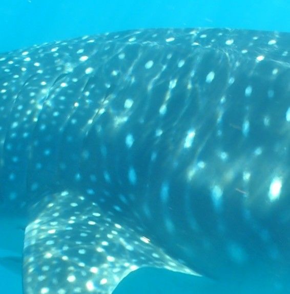 8414d138-032b-4bf0-9afc-843ce6e63a01