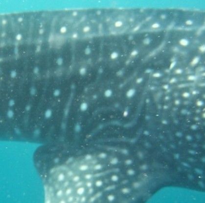 57c9b5a5-c544-42ee-9885-12e149417414