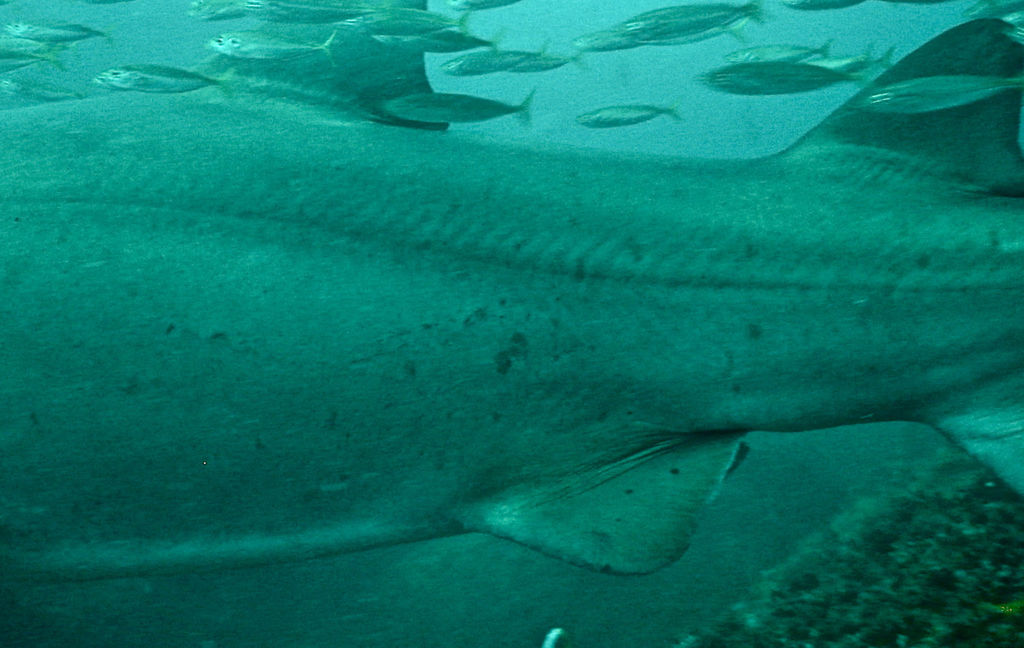 9d10b8e4-b81d-4c16-bd9c-704c4e96ee9b