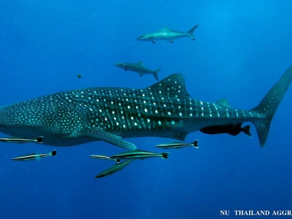 48048906-541a-47a9-81bf-997b10fe04e5