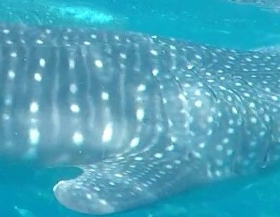 1a03e038-915e-4003-8fd7-1ddafedae0fe