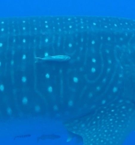 84645220-c67a-4188-bbbf-8b4292210c9f