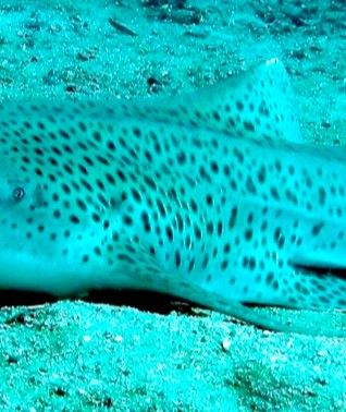 fb9950a8-83ac-464e-87df-2d8bfdbace8b