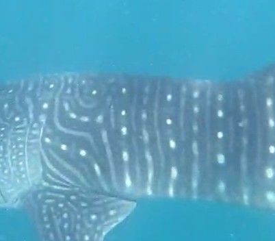 81439374-69a1-4b9b-b3c6-be3ffa743425