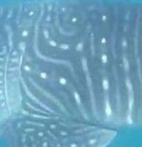 81439374-69a1-4b9b-b3c6-be3ffa743425