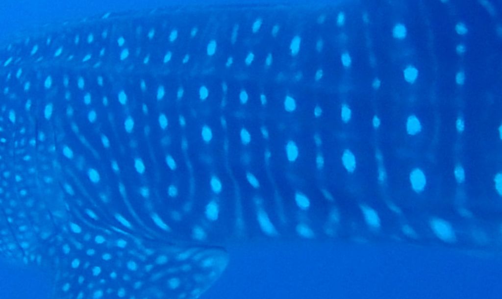 30e7d01a-b17a-40fc-ac9b-ee5a116cd9c0