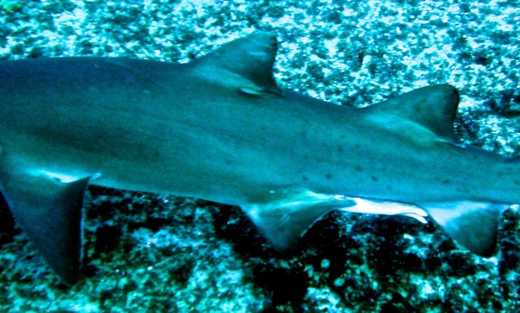 71eda932-c478-4d13-adb2-9b1967e75491