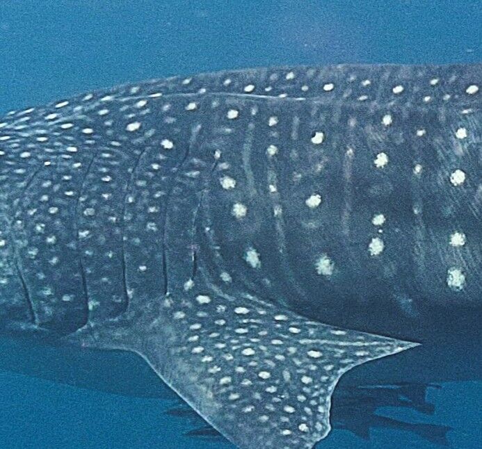 06b656ea-d721-4ef0-8f2b-5cb80f2f9ed1