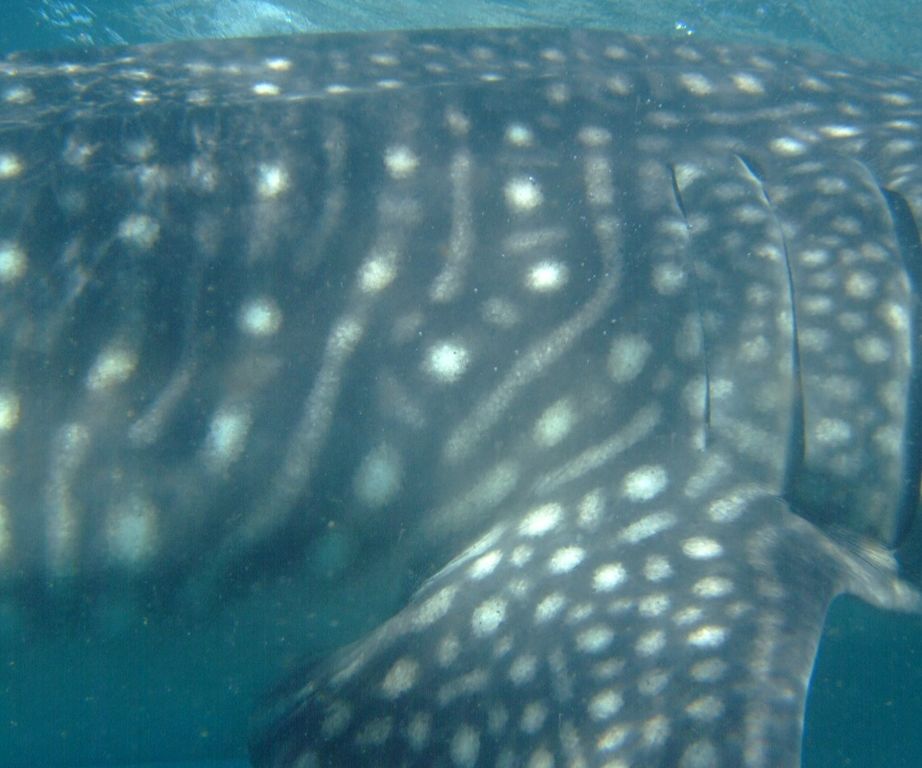 dcd4b9b0-8fa8-48ce-bdf2-aa1440fafa0d