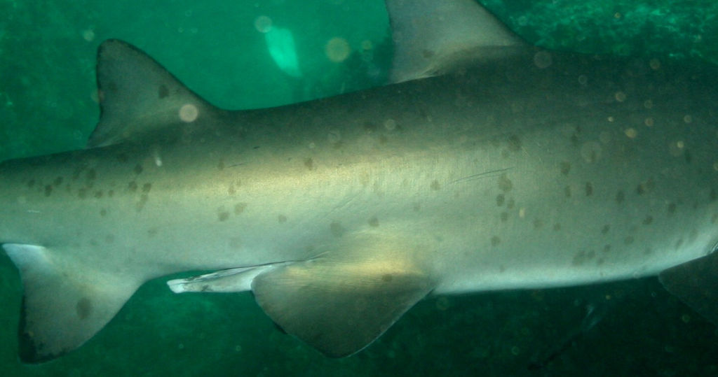 f3aed7fc-9d07-4400-9e26-3acbedce09bc