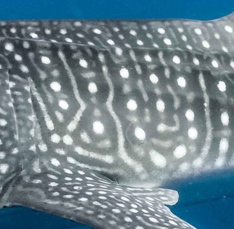 b38a9058-7b12-4710-b32b-10316d7cf350