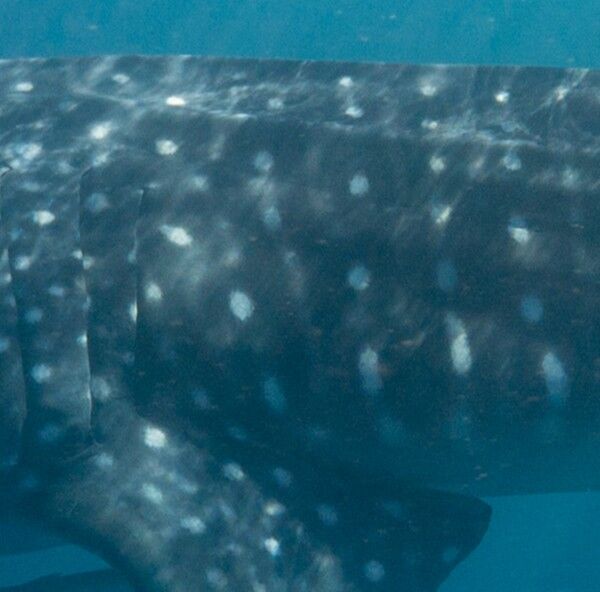 66fb71ef-daff-4415-9223-db6d5c2a844d