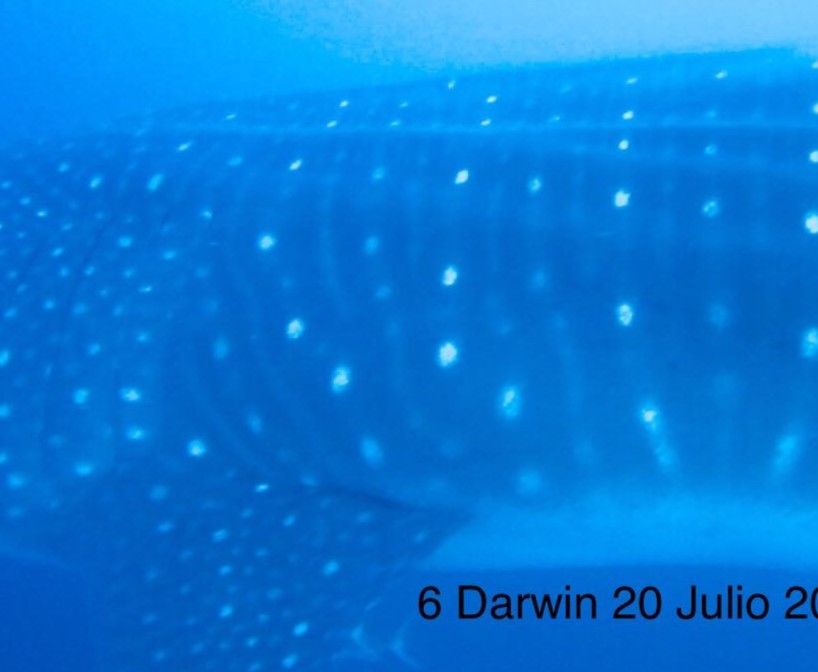 8b34ad8b-1a51-4cb9-9d9f-d6980ac5bf84