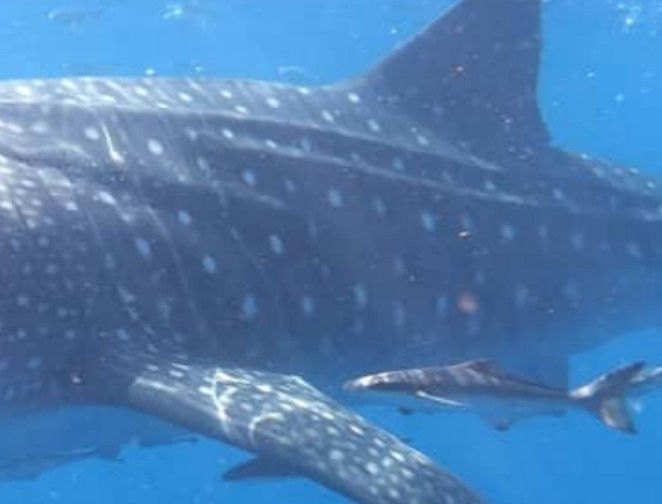 acbc8083-e1db-4230-9afb-fc38bd59e727