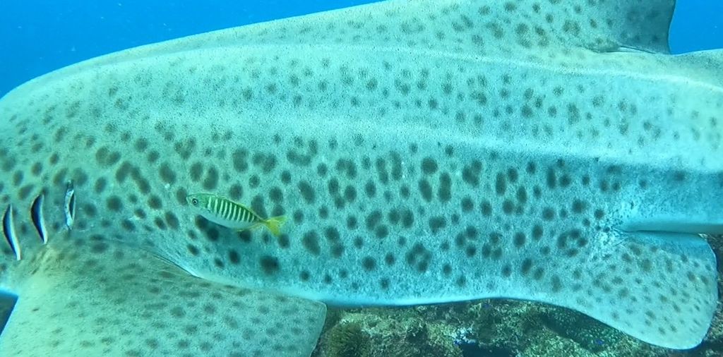 3aa1257d-81b4-488d-8deb-84c082645632