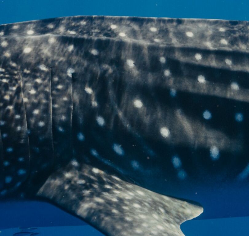 59cb6e64-e4a0-43b6-b2c4-65bfb72be724