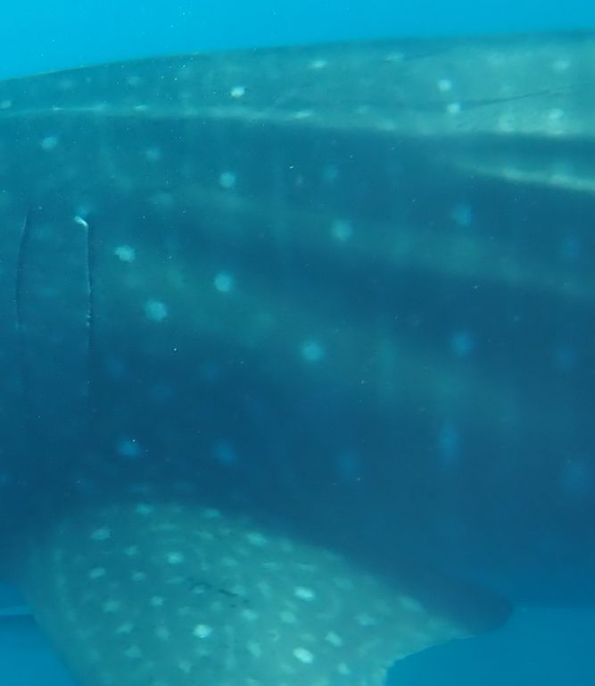 a6f88cf5-9142-47bb-8e09-a4b95df36f49