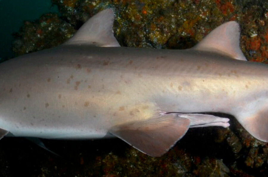 1331fea0-a09c-40c1-ba11-154bad19fcd2