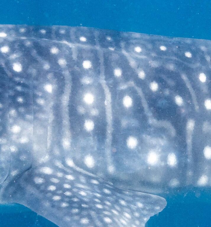 60b7a548-f5d0-4b2b-9210-1946bd47c954