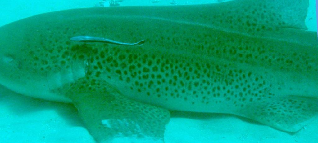 c1a0108a-4c45-4668-acb5-c873607952b3