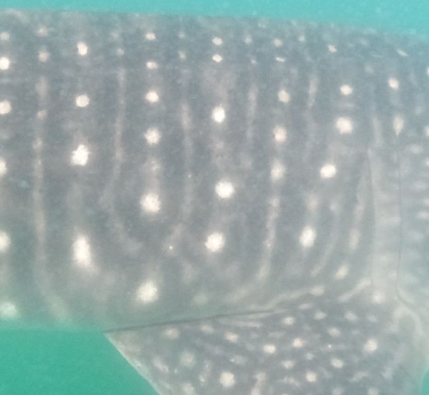 71179fd2-0069-4fa4-90f3-d595987adac6