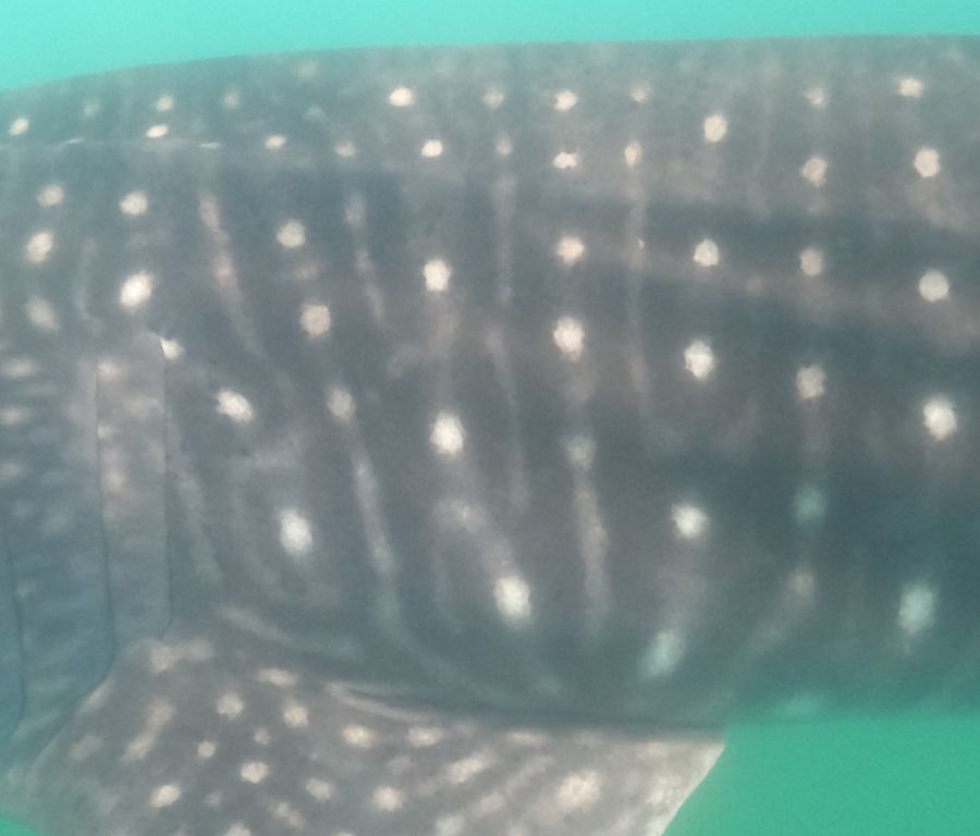 71179fd2-0069-4fa4-90f3-d595987adac6