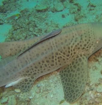 ca68d71b-7a21-4b66-bba8-b015d17513ae