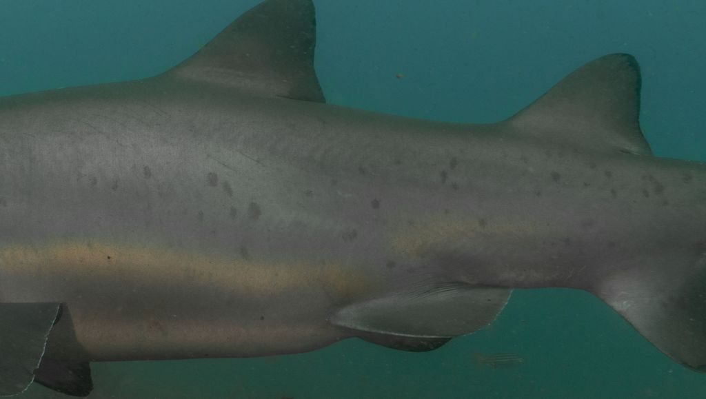 b006ecfa-e35e-4bd6-b394-702413982502