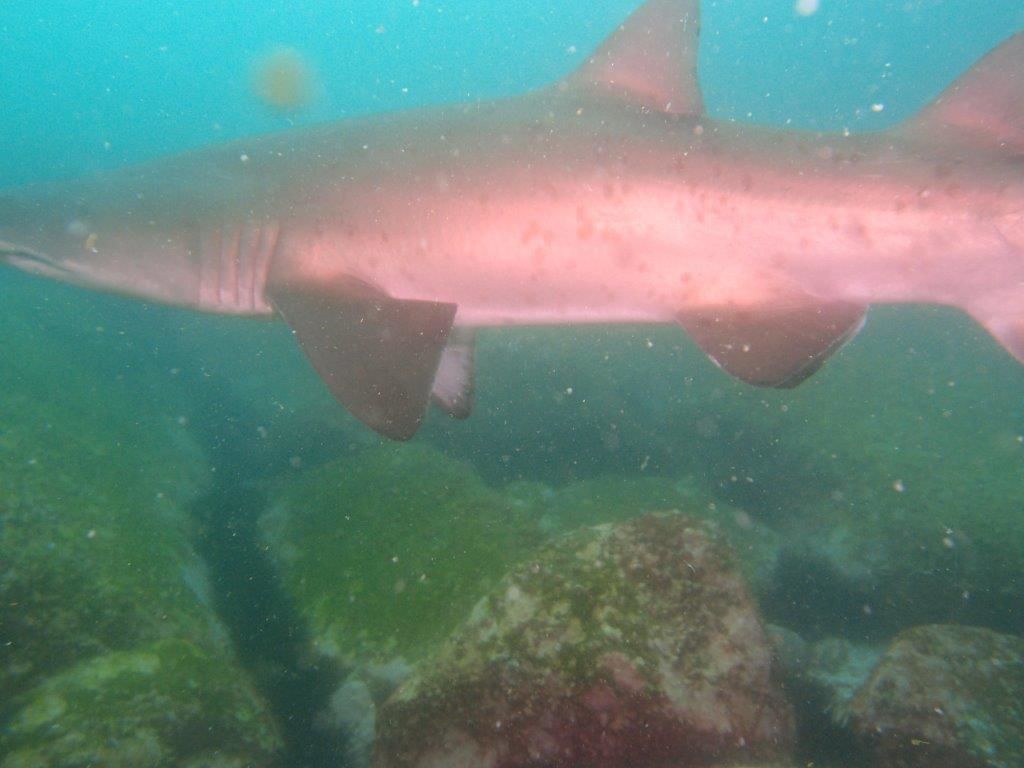 479c3143-de76-4247-8985-cef58170b59d