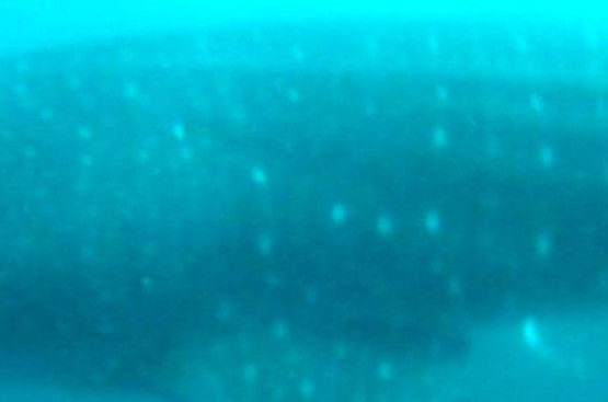 562156ff-b9e1-4471-a54a-8d30ea43818b