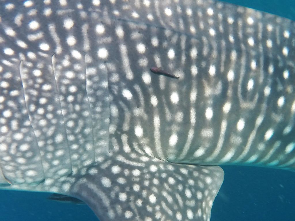 9baf9168-2036-48d3-8256-8d898f23b224