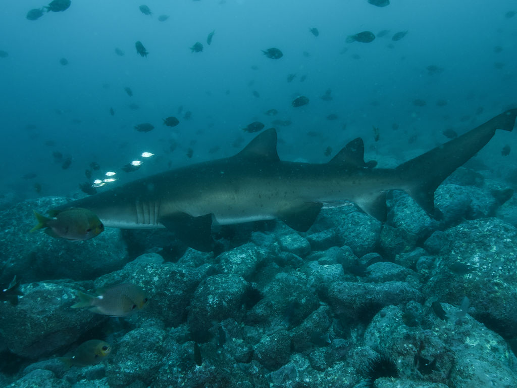 c44052e2-9d58-46cc-a51b-ee2a7bcb90f4