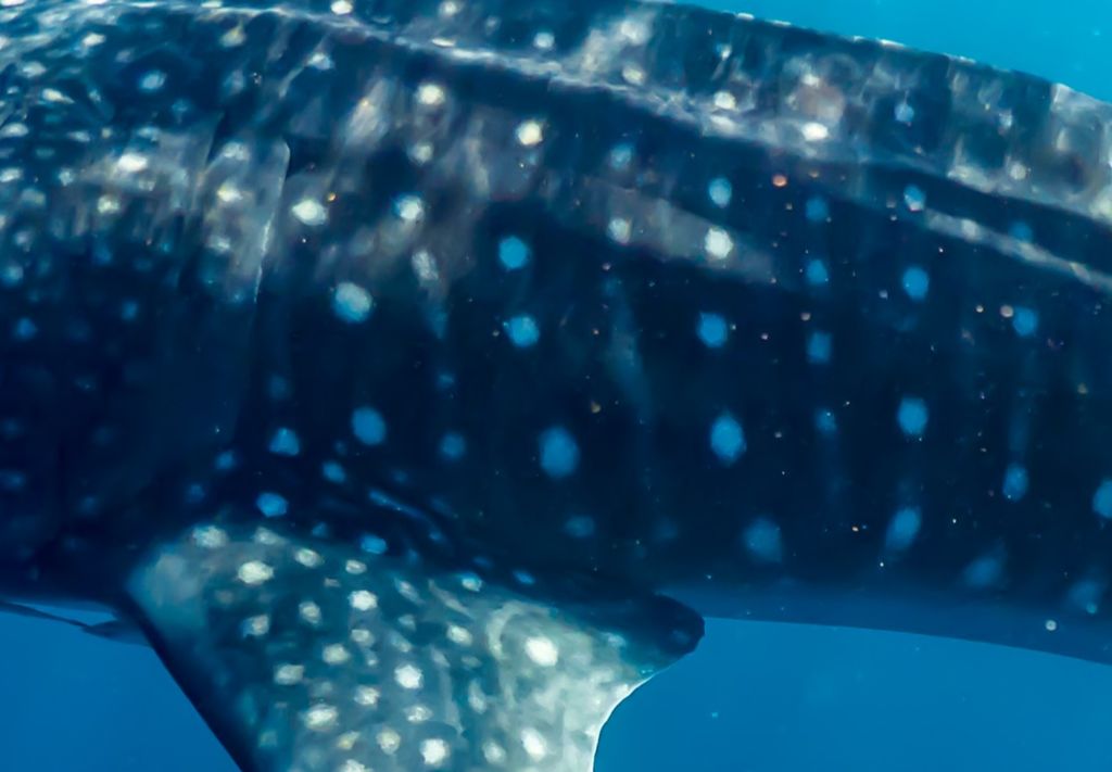 0a3d9d00-6c77-4e1b-8bf6-69559b4eb94a