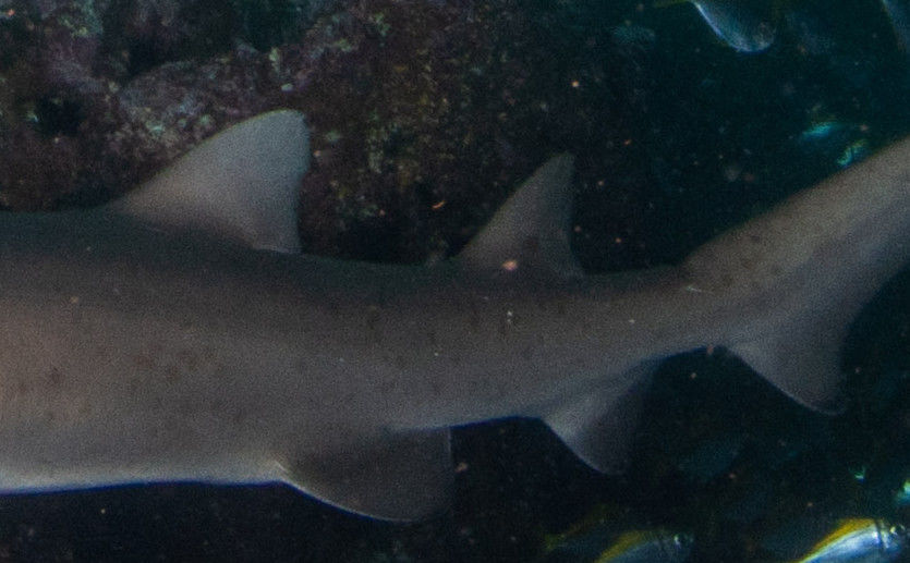 dc44fc22-d873-404e-827c-73e1bc7fd42d